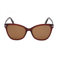 Tom Ford Ani 58MM Cat Eye Sunglasses